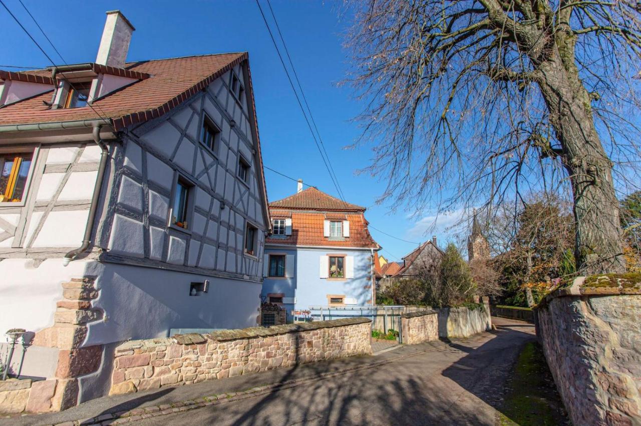 Gite La Rodernelle - Sauna Privatif - Climatisation - Vue Sur Le Chateau Du Haut Koenigsbourg Eksteriør billede