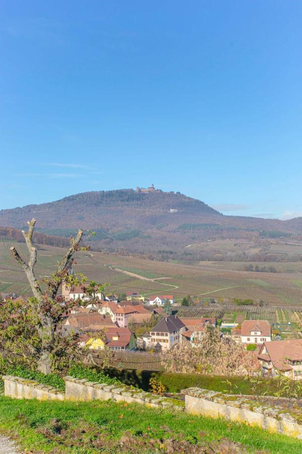 Gite La Rodernelle - Sauna Privatif - Climatisation - Vue Sur Le Chateau Du Haut Koenigsbourg Eksteriør billede