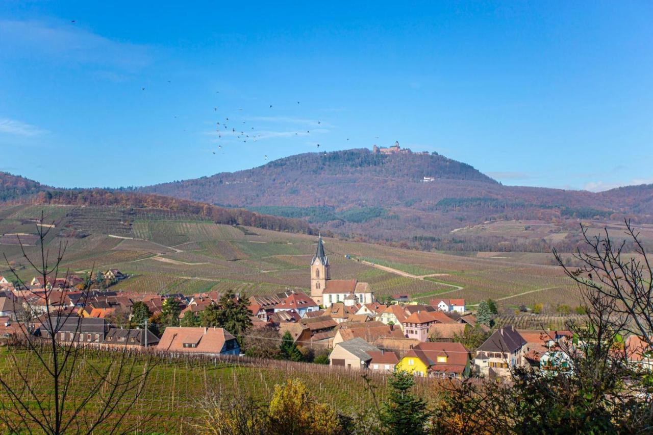 Gite La Rodernelle - Sauna Privatif - Climatisation - Vue Sur Le Chateau Du Haut Koenigsbourg Eksteriør billede